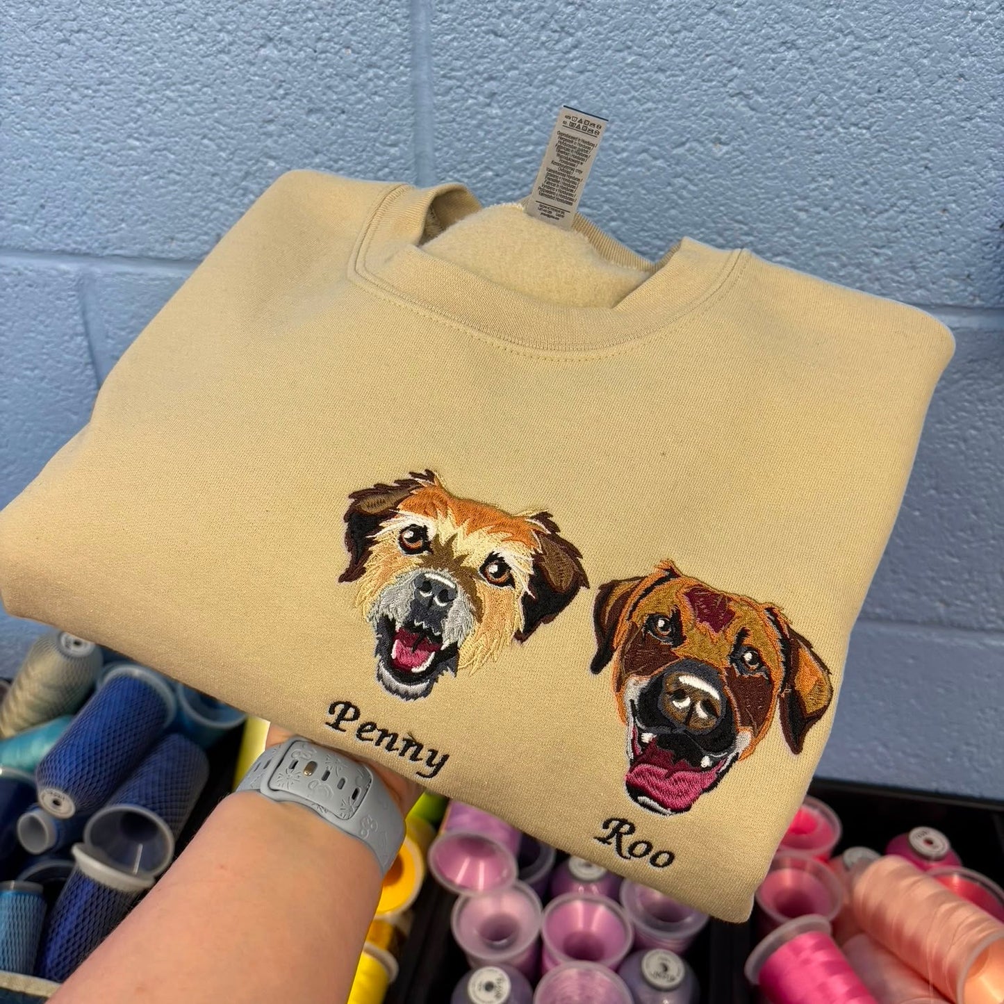 Beige sweatshirt with dog illustrations and names 'Penny' and 'Roo' held against a blue brick wall.