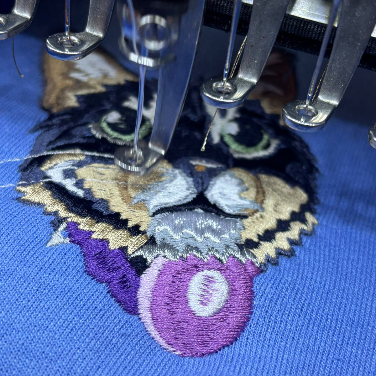 Cat on a blue background with embroidery needles working on the cat design 